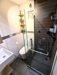 Novena Hill (D11), Apartment #465341541